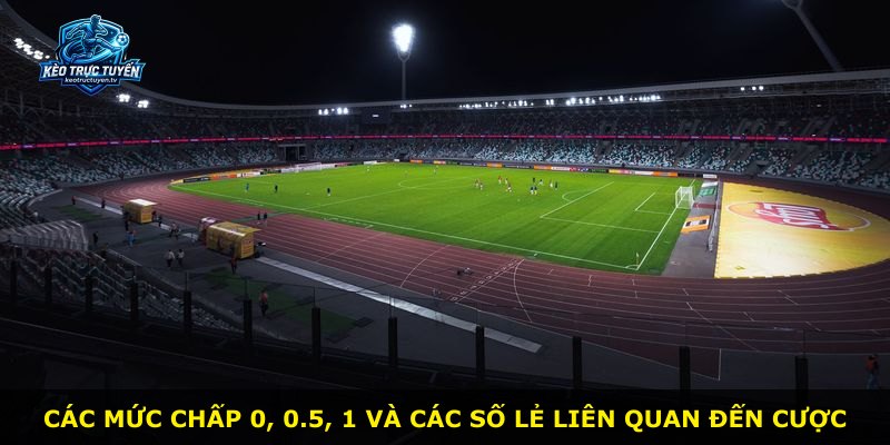 Các mức chấp 0, 0.5, 1 và các số lẻ liên quan đến cược