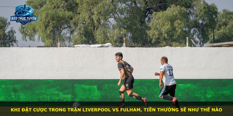 Khi đặt cược trong trận Liverpool vs Fulham, tiền thưởng sẽ như thế nào