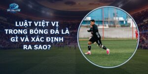 Luật Việt Vị