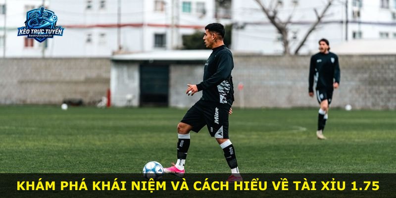 Khám phá khái niệm và cách hiểu về Tài Xỉu 1.75