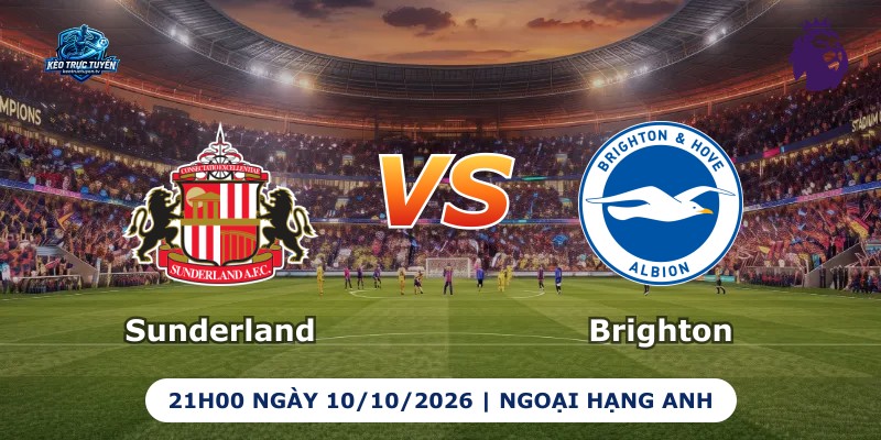 Sunderland vs Brighton